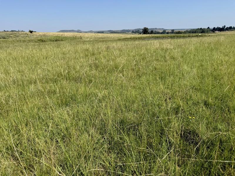 0 Bedroom Property for Sale in Bethlehem Rural Free State